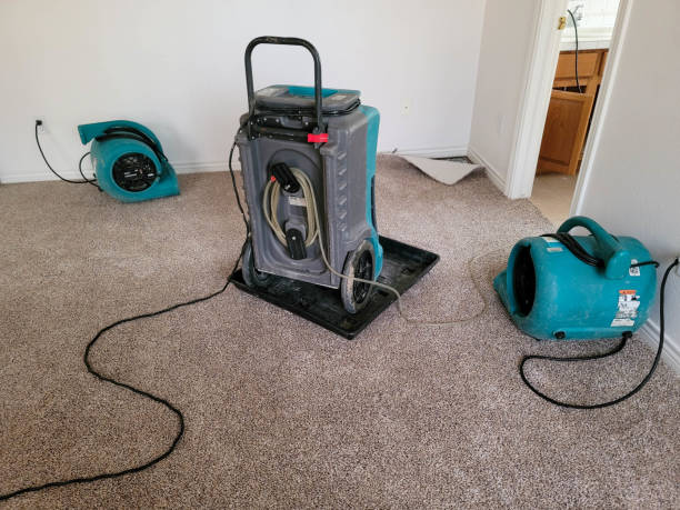Best Water damage restoration near me  in Middleborough Center, MA