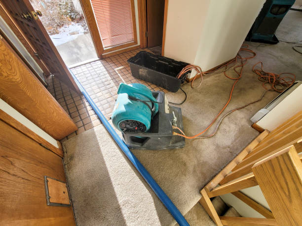 Best Basement water damage restoration  in Middleborough Center, MA