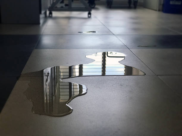 Best Water damage contractors near me  in Middleborough Center, MA