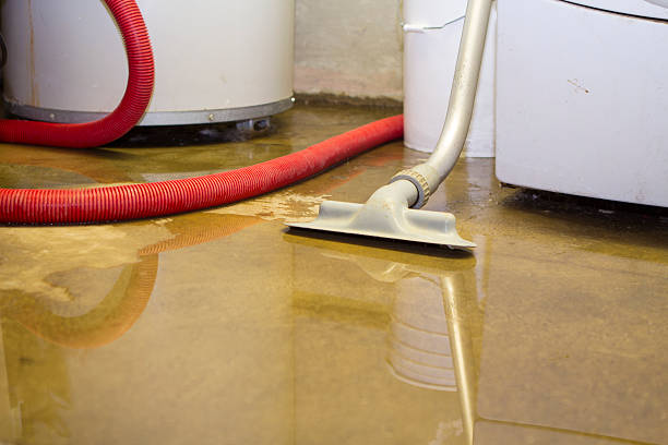 Best Carpet water damage restoration  in Middleborough Center, MA