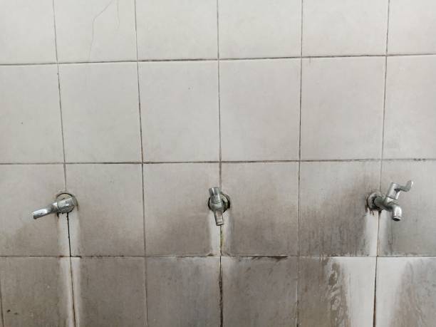 Best Professional water damage repair  in Middleborough Center, MA